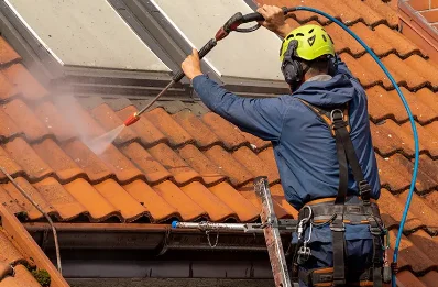 Démoussage et hydrofuge de toiture à Bay